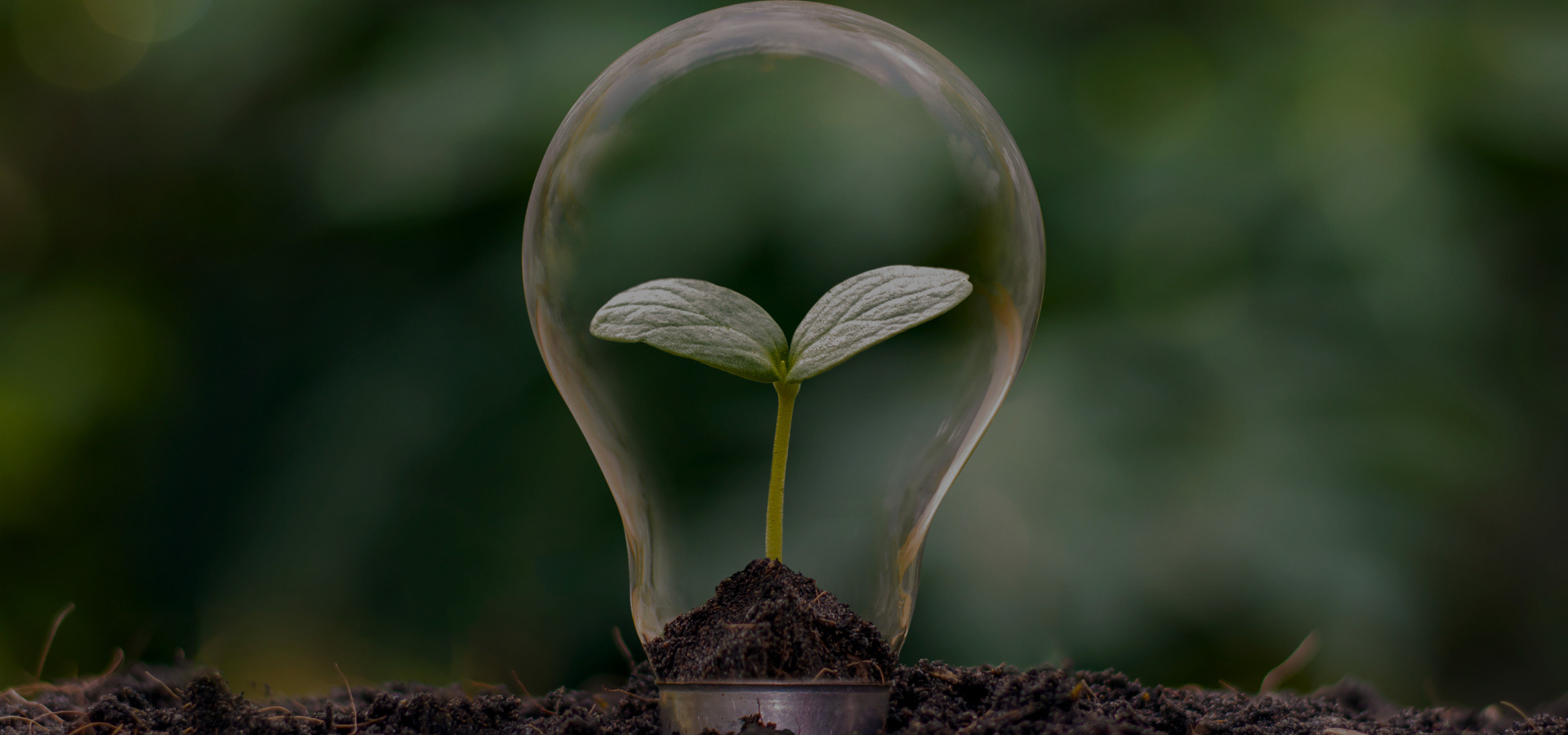 Being Resilient. That's Live Enterprise.